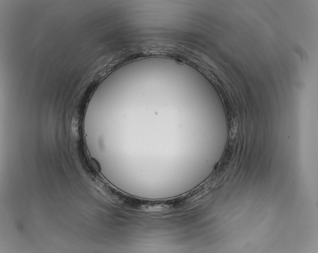 X0000111140452200906301020