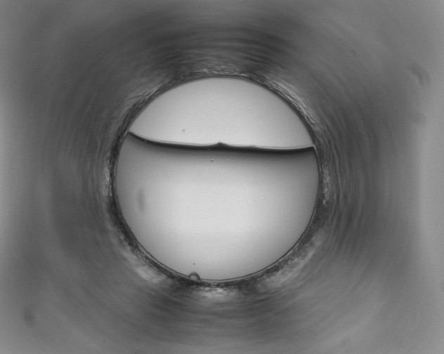 X0000111140453200906301020
