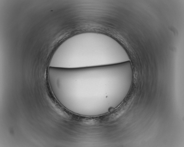 X0000111140454200906301020