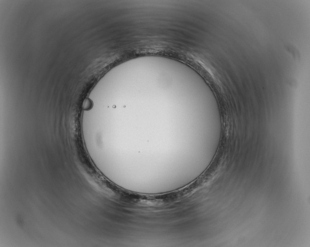 X0000111140455200906301020