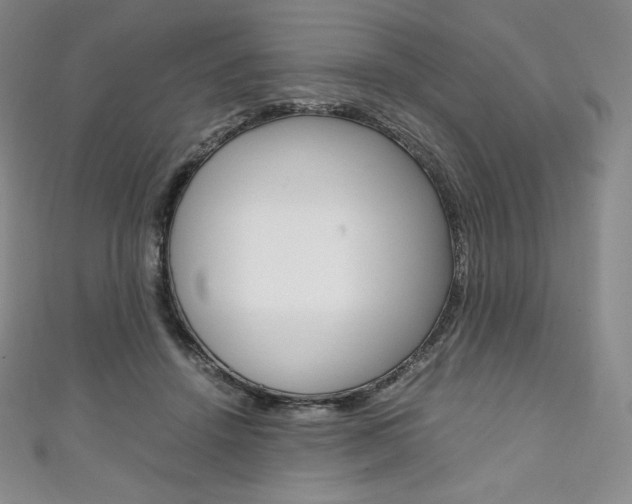 X0000111140456200906301020
