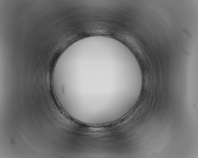 X0000111140457200906301020