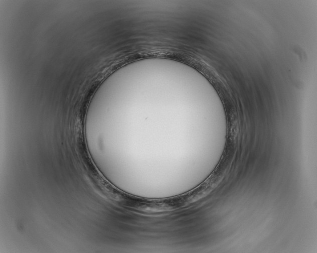 X0000111140459200906301020