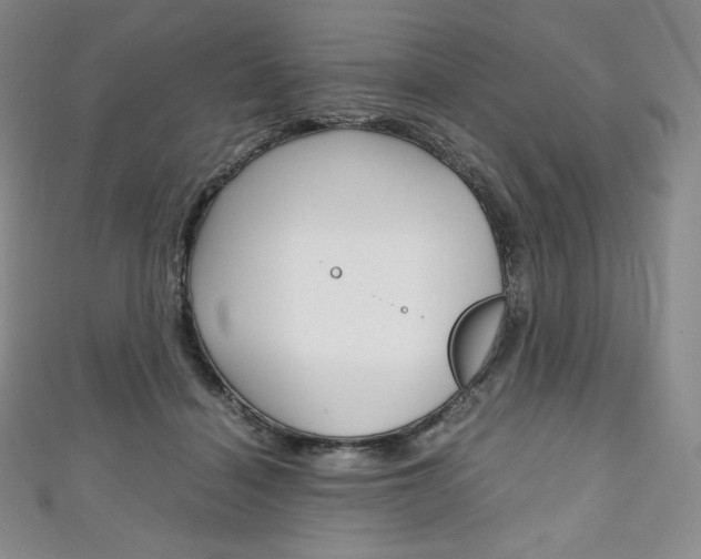 X0000111140460200906301020