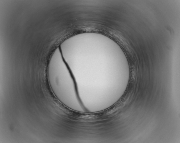 X0000111140461200906301020
