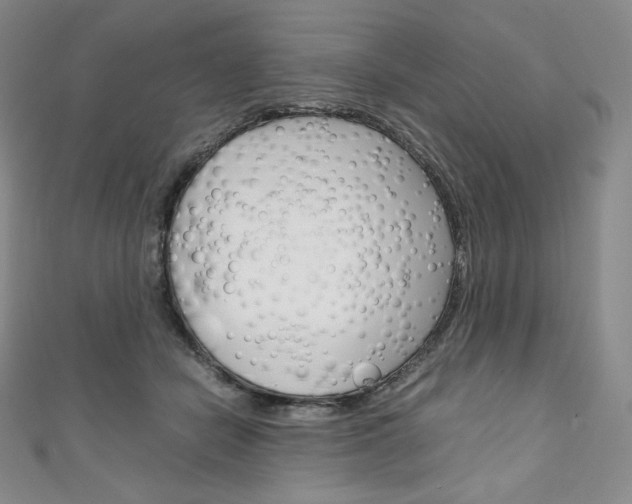 X0000111140462200906301020