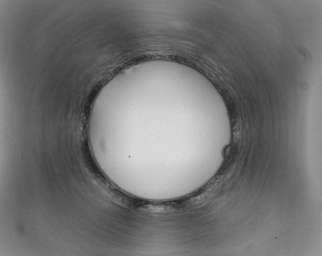 X0000111140464200906301020