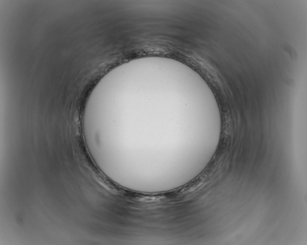 X0000111140465200906301020