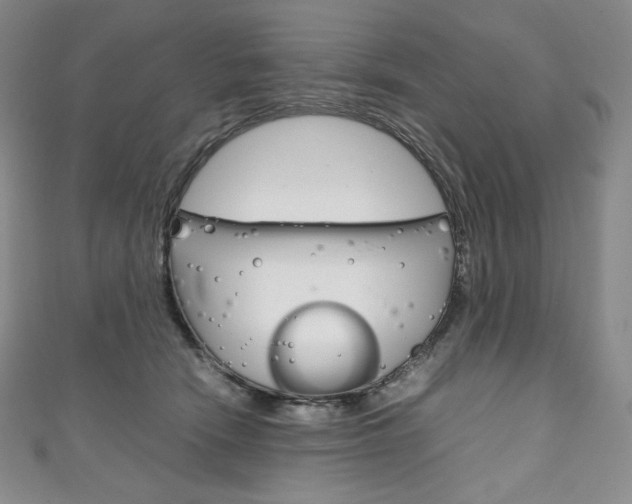 X0000111140466200906301020
