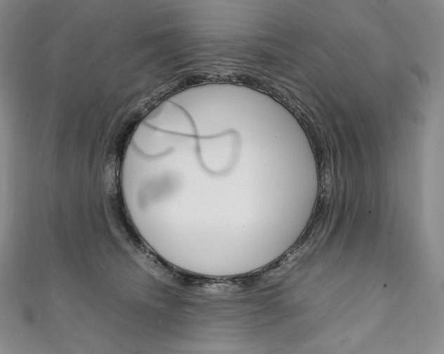 X0000111140468200906301020
