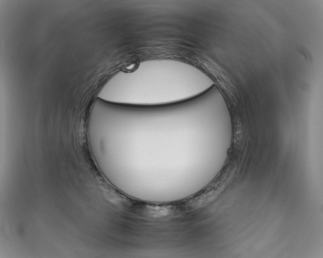 X0000111140469200906301020
