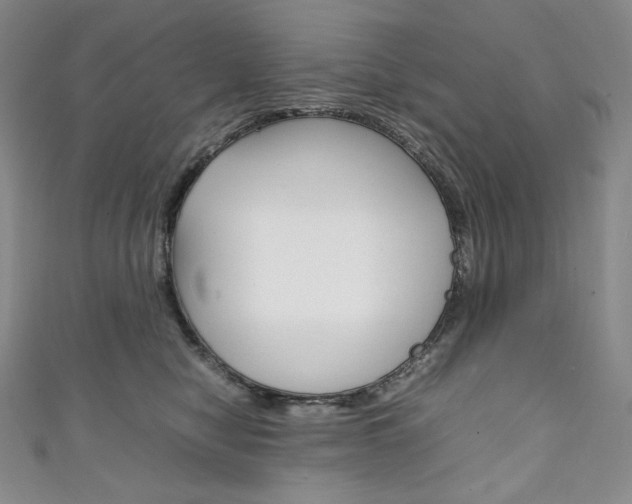 X0000111140470200906301020