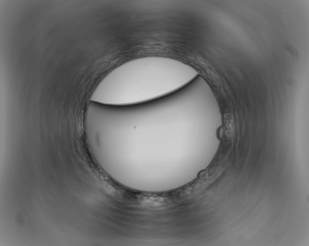 X0000111140471200906301020