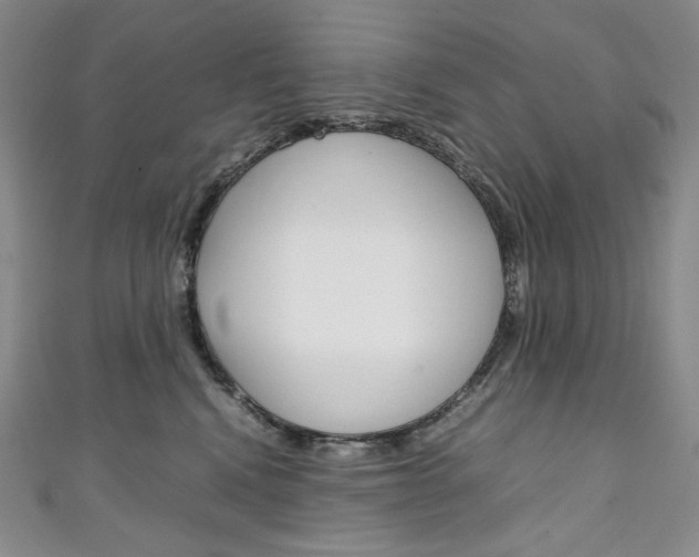 X0000111140472200906301020