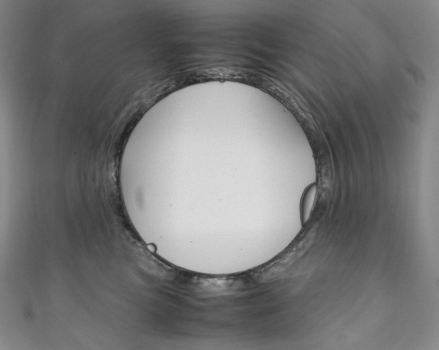 X0000111140473200906301020