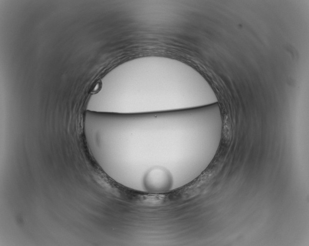 X0000111140474200906301020