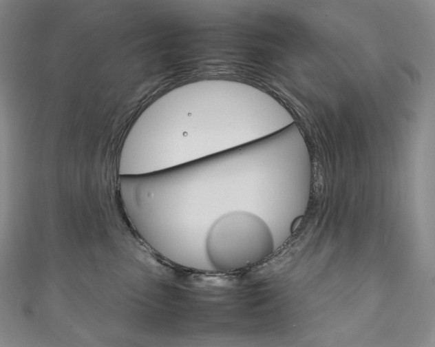 X0000111140475200906301020