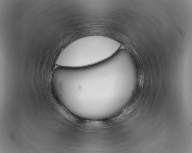 X0000111140476200906301020
