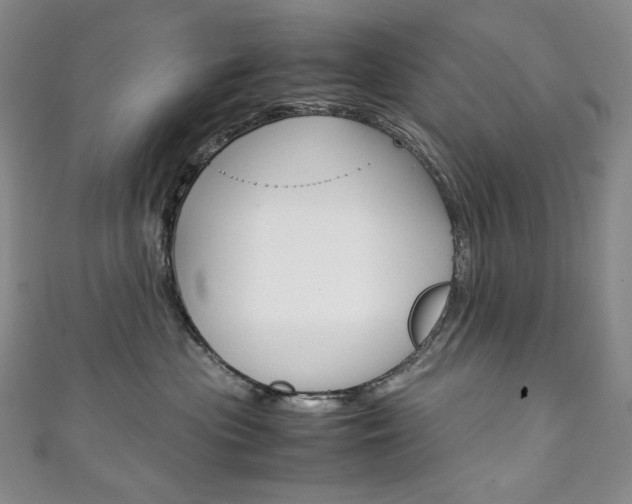 X0000111140477200906301020