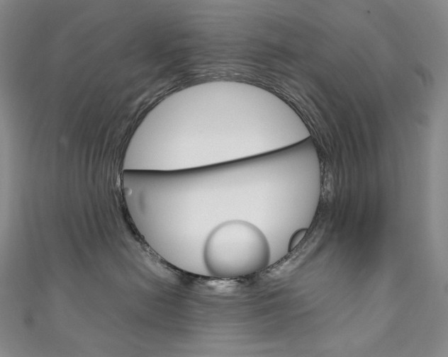 X0000111140478200906301020