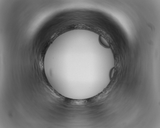 X0000111140479200906301020