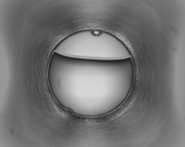 X0000111140481200906301020