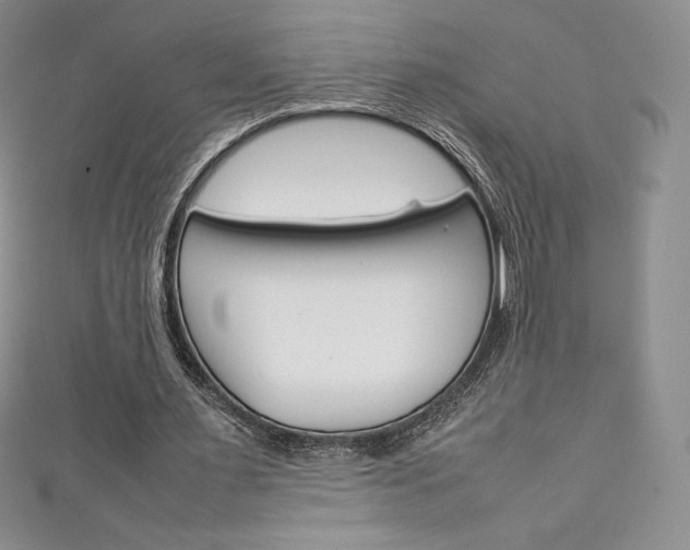 X0000111140483200906301020