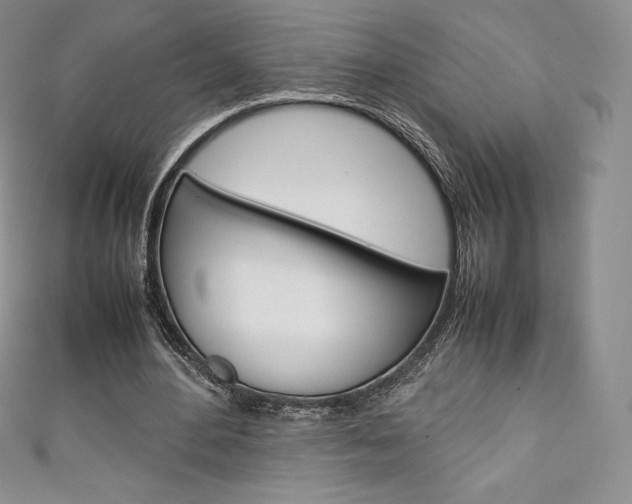 X0000111140484200906301020