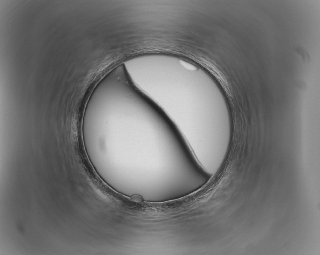 X0000111140489200906301020
