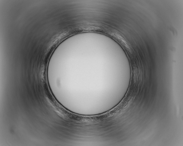 X0000111140490200906301020