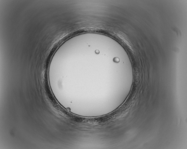X0000111140491200906301020