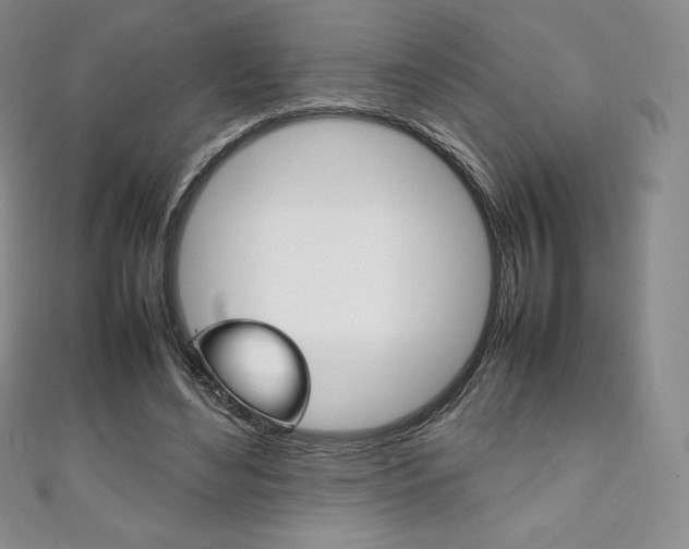 X0000111140492200906301020