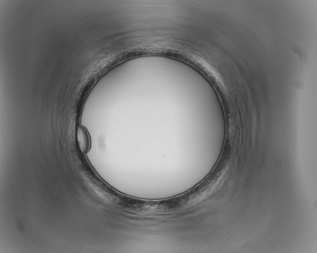 X0000111140493200906301020