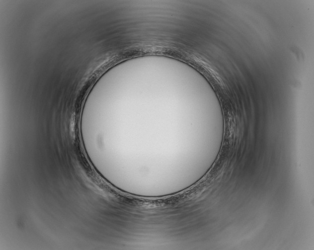 X0000111140494200906301020