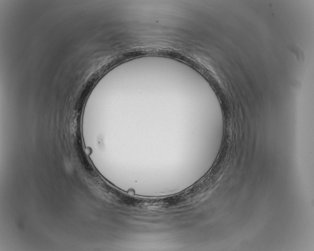 X0000111140495200906301020