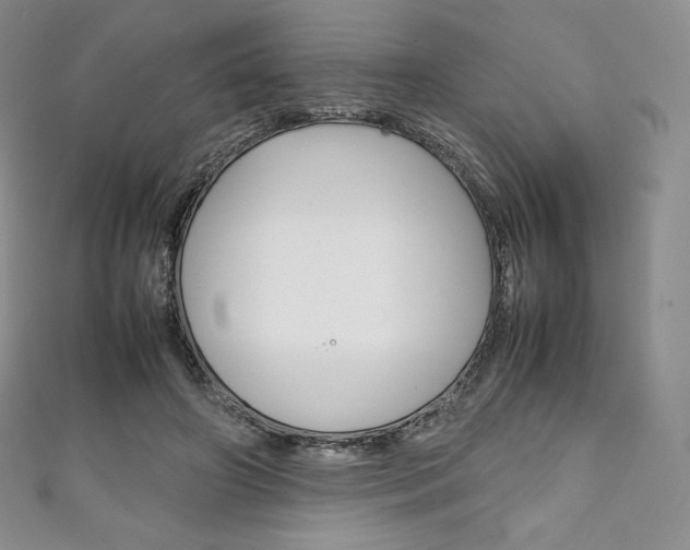 X0000111140498200906301020
