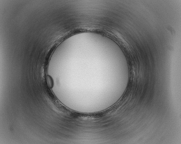 X0000111140500200906301020