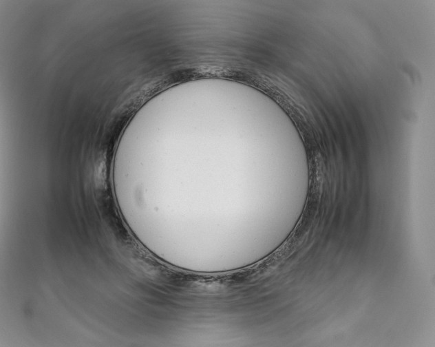 X0000111140502200906301020