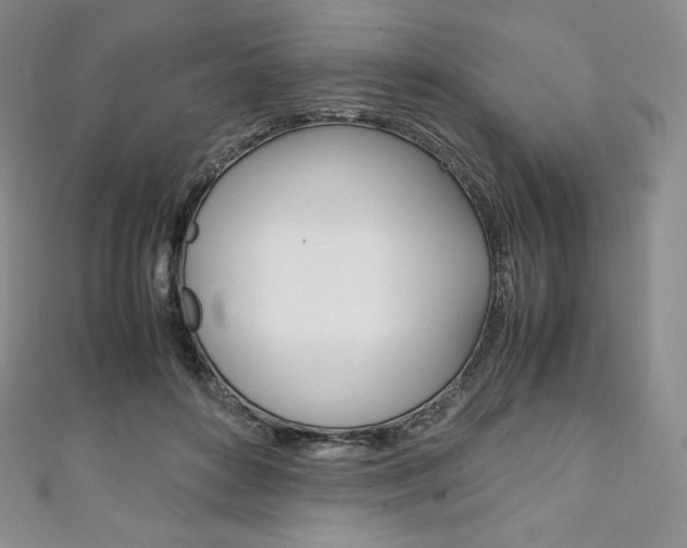 X0000111140504200906301020