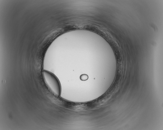X0000111140505200906301020