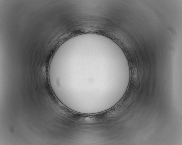 X0000111140506200906301020