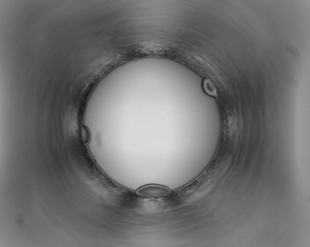 X0000111140508200906301020