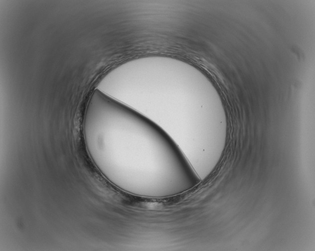 X0000111140509200906301019