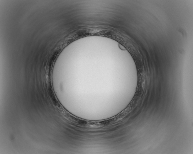 X0000111140510200906301019