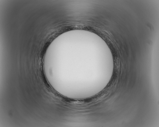 X0000111140511200906301019