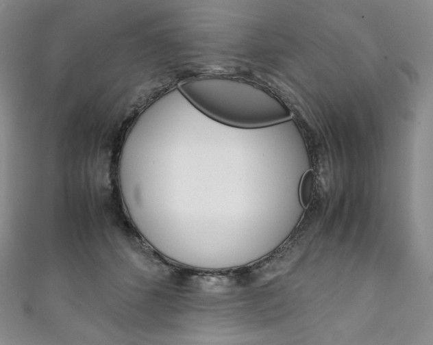X0000111140512200906301019