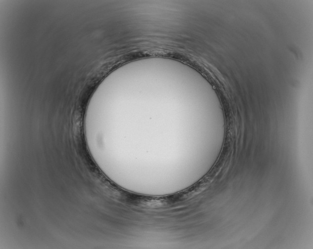 X0000111140513200906301019