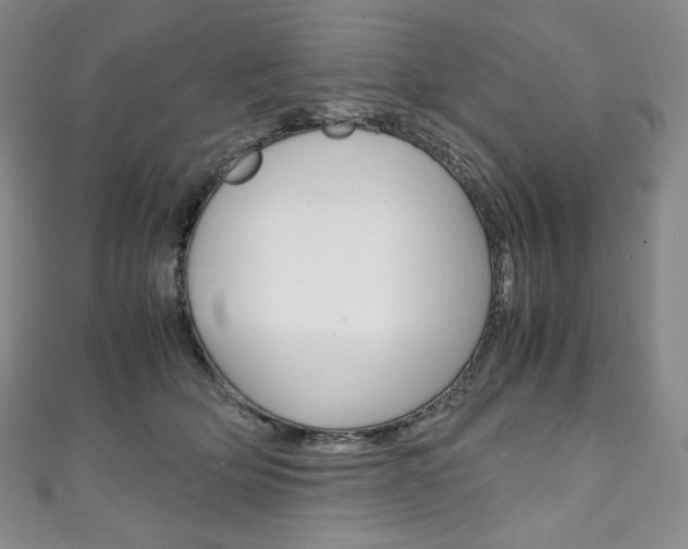 X0000111140514200906301019