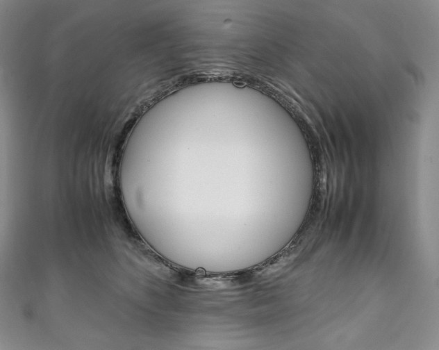 X0000111140516200906301019
