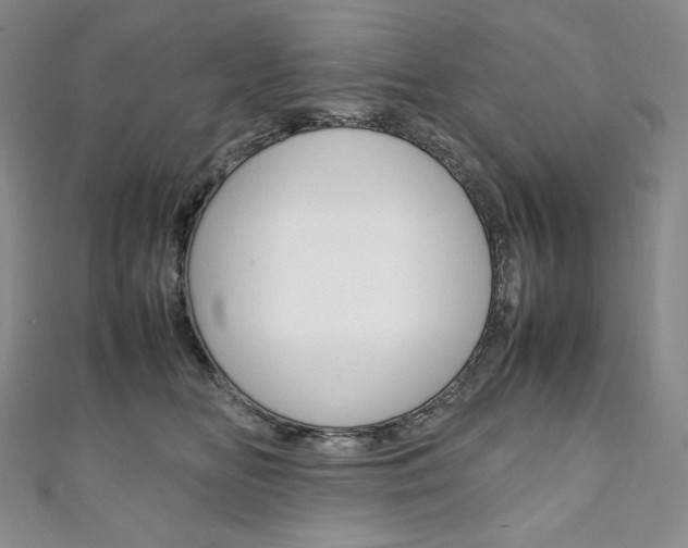 X0000111140518200906301019